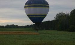 IMG 7782