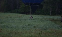 IMG 7785