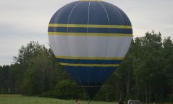 IMG 7787