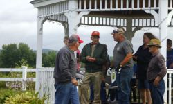 IMG 8728